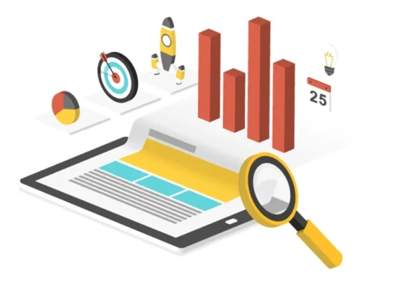 Business Analyst