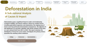 deforestation_analysis_powerBI