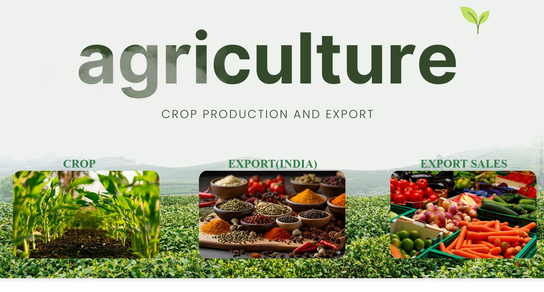 AgriExport Insights